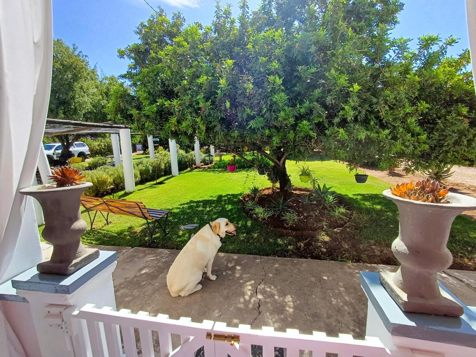 86 On Jubilee Hotel Oudtshoorn Phòng bức ảnh